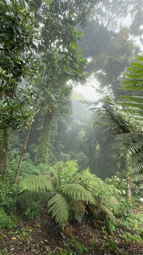 Frío en cerro El Pital el punto más alto de El Salvador 🇸🇻 | El Salvador Centro América Es Bello