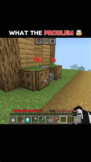 WHATS THE PROBLEM ? #minecraft #minecraftshorts #gaming