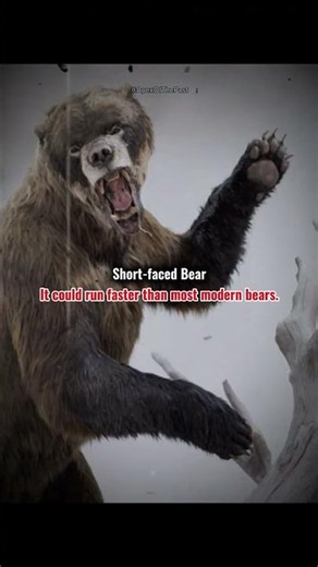 Ice age extinct animals #Iceageanimals #Iceagemegafauna #Iceagebeasts
