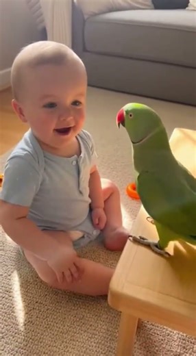 Baby's First Conversation with a Parrot 🦜| Baby Bee #baby #Cutebaby