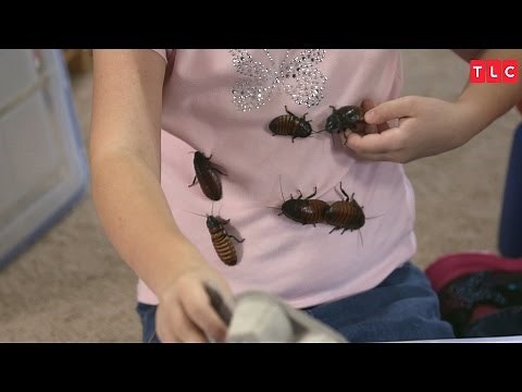 Obsessed with Collecting Cockroaches | My Kid's Obsession