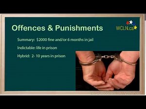 WCLN - Introduction to Criminal Law