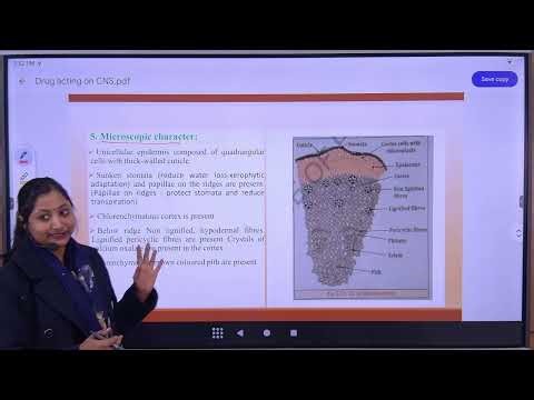 Lecture 53|Drug acting on Nervous System Ephedra | D.Pharm 1st Year | By Khushboo Mam