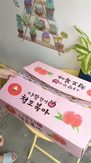 Korea Honey Peaches Gift Box လေးတွေ အသစ်ထပ်ရောက်ပါပြီ။ 🍑🍑🎁🎁 #fruitmyanmar #premium #peaches #gift #box #Honey #juicy #sweet #fresh #present #festival #midautumn #trend #delicious #စားမယ် #fyp #myanmar #instock #newarrival #yangon #thingangyun
