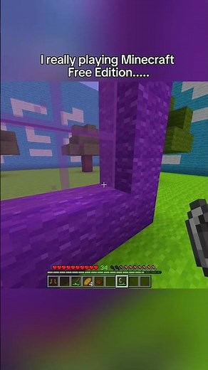 I Downloaded Minecraft For Free