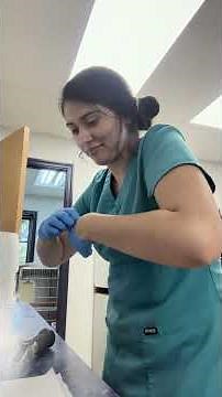 Total Protein testing