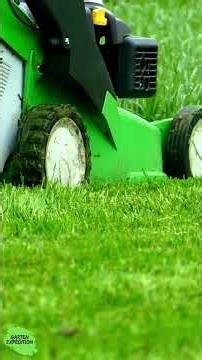 70% nest in the ground: Why your insect hotel often doesn't work - Garden expedition #shorts