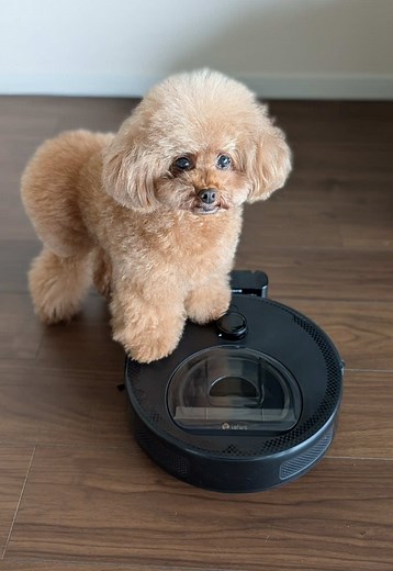 コンパクトでパワフルなロボット掃除機のレビュー