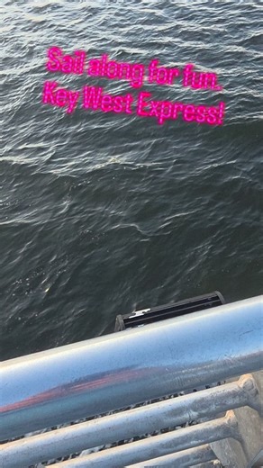 1.3K views · 95 reactions | What a great trip to Key West! Smooth seas, great temps. Come along for your next trip to the island! | Key West Express | Facebook