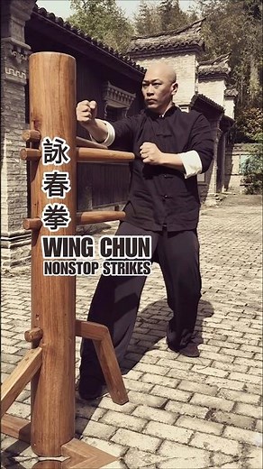 Wing Chun Pressure⚡Relentless Strikes & Ip Man Skills