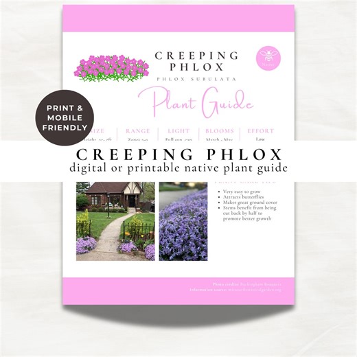 Creeping Phlox Plant Guide | Native Flower Care Sheet (digital Download) - Etsy UK