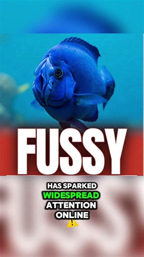 They found WHAT in the deep ocean?! 🤯🌊