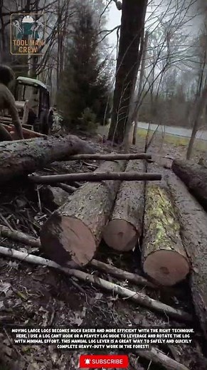 Mastering the Cant Hook: The Secret to Moving Massive Logs with Ease!#ToolReview