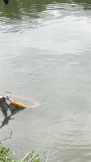 Stephanie Moretti no TikTok