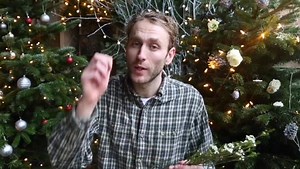 A quick guide to waxflower, one of the flowers in our arrangement this week. Combined with roses, lisianthus, pussywillow and eucalyptus Parvifolia, I love it for its gloriously festive smell. Enjoy! | Freddie's Flowers