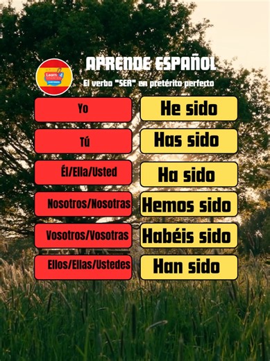 Aprende en español el verbo ser en pretérito perfecto. Learn the Spanish verb