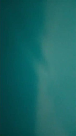 19 de diciembre de 2025