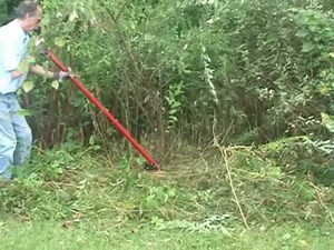 Shrub Buster - invasive bush removal tool.
