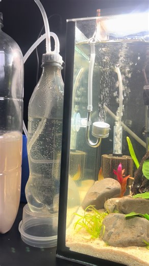 Budget-Friendly £3 CO2 Diffuser Setup for Aquascaping