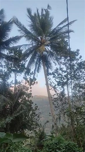 #Shorts #kella_tiktok