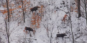 Vermont Fishing and Hunting Licenses open for 2025