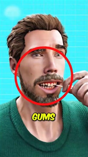 Stop Using Toothpicks NOW… Here’s What They’re Doing to Your Gums 😬