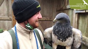 22K views · 2.3K reactions | If you've visited us and met Ben from...