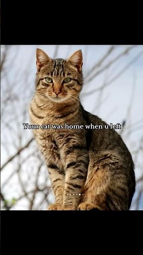 fr lol#fypviral# fypp#trend#reletable#funny#song#subcribe pls