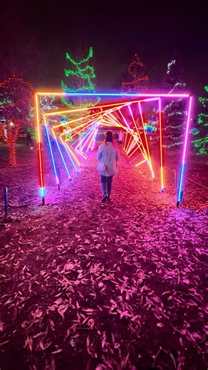 Tourism Calgary on Instagram: "Guess who’s back, back again? ZOOLIGHTS is back, bring a friend! ✨ Get into the festive spirit by walking in a sparkling winter wonderland filled with free rides, a festive forest and beautiful holiday shine for all. #calgary #zoo #holidayvibes #winterwonderland #christmastime things to do in calgary, calgary things to do, zoolights calgary, calgary zoo, christmas in calgary, where to see lights in calgary, christmas activities calgary, family friendly holiday"