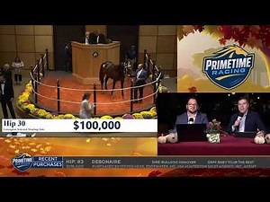 Prime Time Harness Racing Live Stream