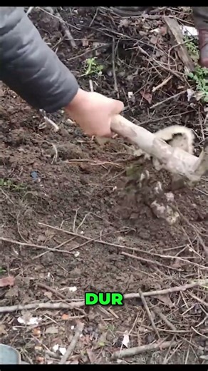 Muska sandığınız o nesnelerin içindeki ölümcül zehirler ve gerçek kara büyülerin yüzü! Hakan Erkan