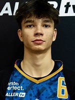 Andrej Stojakovic, Illinois Fighting Illini, Small Forward