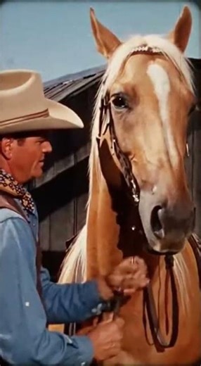 Trigger 1944 – 1965 – Roy Rogers’ palomino with a film career