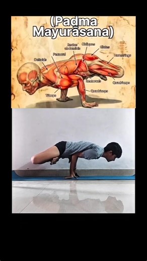padma mayur asana #flexibility #stretchandflow #mindbodysoul #shortsfeed