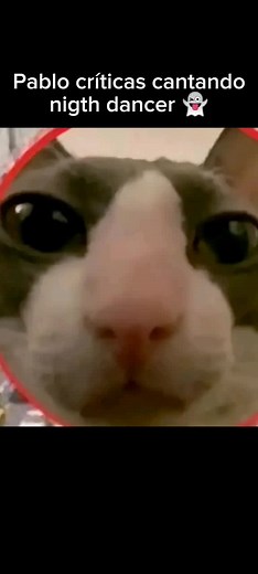 Pablo Críticas: Night Dancer Debate