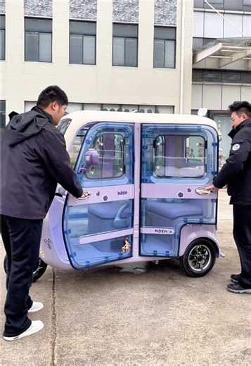 Explore the Bubuxian Electric Trike for Urban Mobility