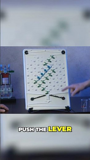 How a Marble Machine Counts in Binary – Watch It Work! #MarbleMachine #BinaryCounting #STEM