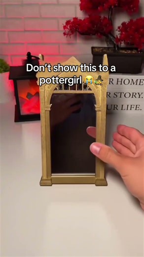 Best gift for Potterheads😭❤️#harrypotter #couples #valentinesday #fyp #unitedstates