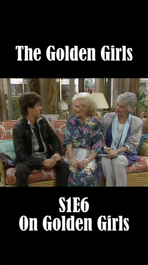 The Golden Girls | S1E6 | On Golden Girls - David Meets the Girls | Golden Hour