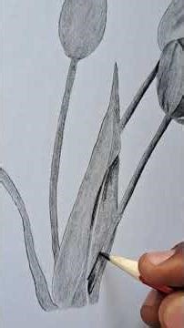 Realistic Tulip Drawing Tutorial You Can Actually Do #drawing #tutorial #art
