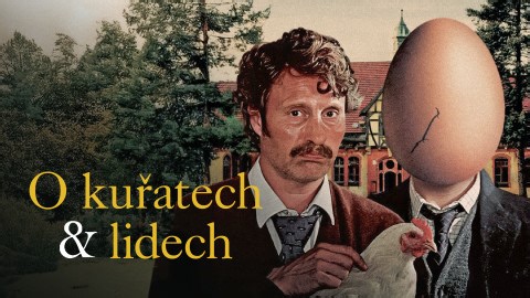 O kuřatech a lidech - iVysílání | Česká televize
