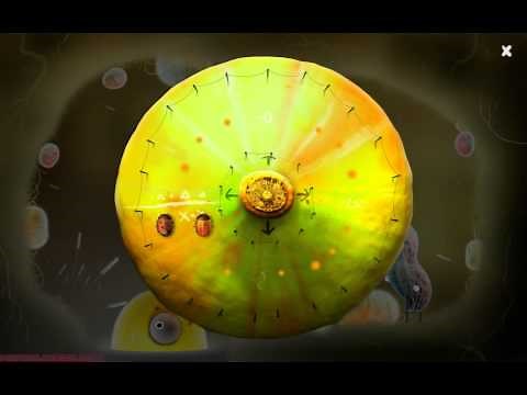 Botanicula Walkthrough Part 8