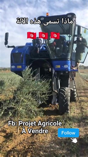 Projet Agricole À Vendre on Reels