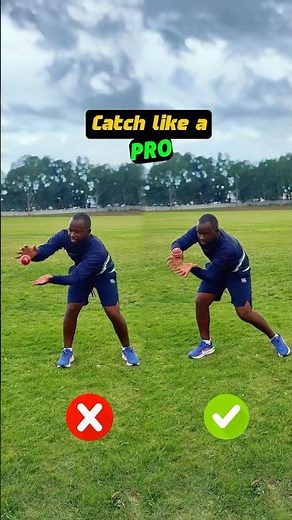 How to Field Like a Professional Cricketer