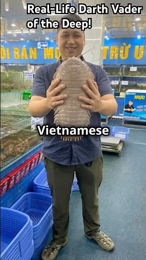 Scientists Discover Giant ‘Darth Vader’ Isopod in the South China Sea