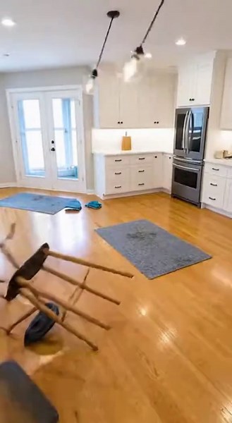 normal cat activity (@normalcatactivity)’s videos with Originalton - normal cat activity