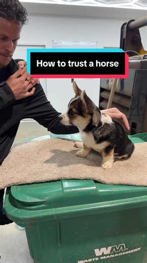 I’m a cowboy@Lauren Marie Steward | cowboys dance