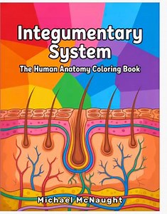 Integumentary System: the Human Anatomy Coloring Book - Etsy