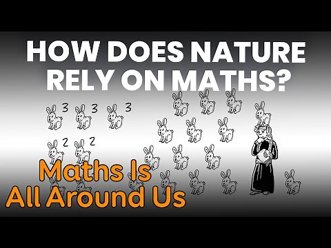 How does Nature rely on Maths? | Math Is All Around Us S1E14 | FULL EPISODE | Da Vinci