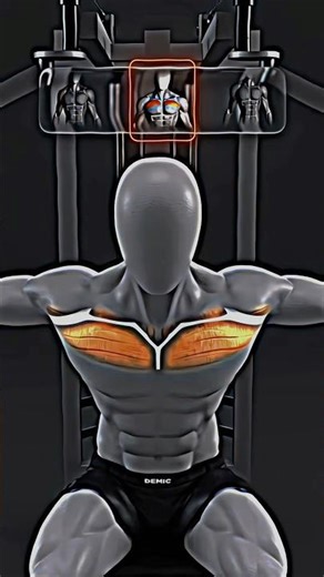 Don’t Miss Any Part of Your Chest on the Pec Fly